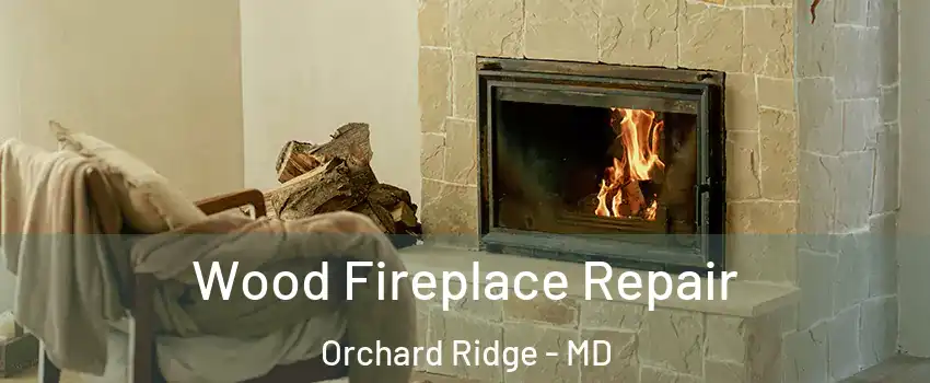 Wood Fireplace Repair Orchard Ridge - MD