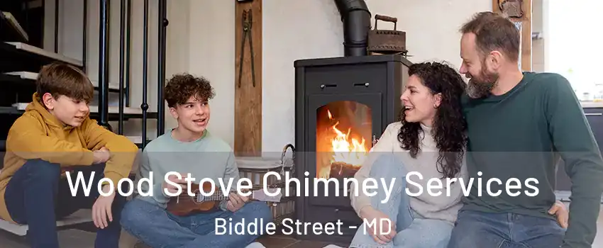 Wood Stove Chimney Services Biddle Street - MD