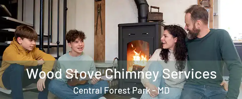 Wood Stove Chimney Services Central Forest Park - MD