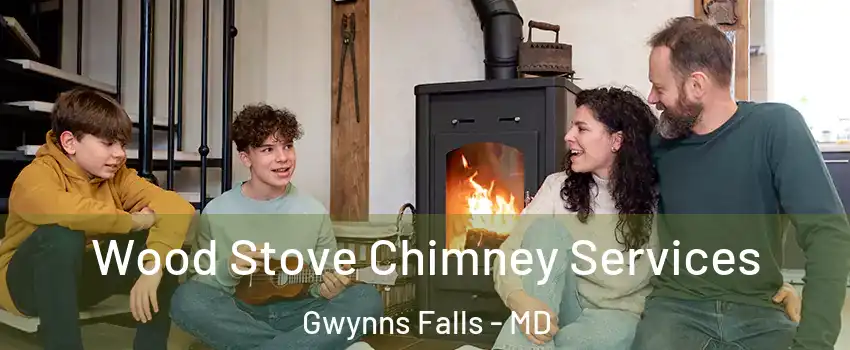 Wood Stove Chimney Services Gwynns Falls - MD