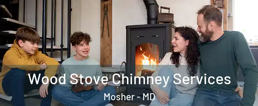 Wood Stove Chimney Services Mosher - MD