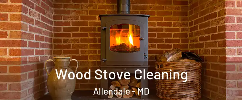 Wood Stove Cleaning Allendale - MD