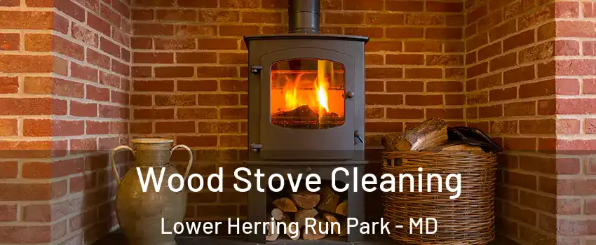 Wood Stove Cleaning Lower Herring Run Park - MD