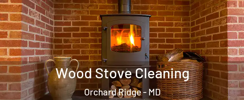 Wood Stove Cleaning Orchard Ridge - MD