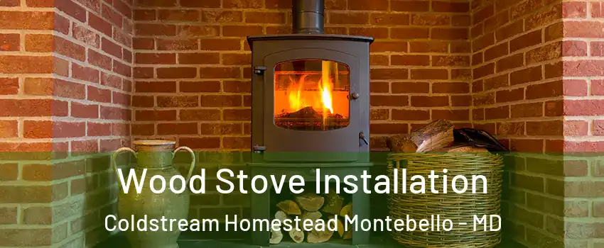 Wood Stove Installation Coldstream Homestead Montebello - MD