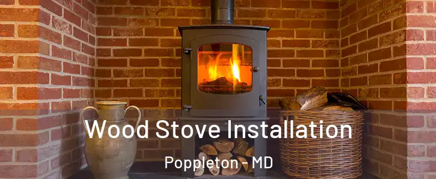 Wood Stove Installation Poppleton - MD